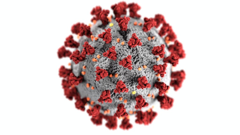 Covid-19: Rio de Janeiro confirma o primeiro caso da subvariante Ômicron EG.5