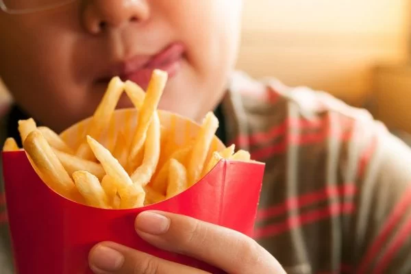 SAÚDE: comer batata frita pode aumentar risco de demência, sugere pesquisa